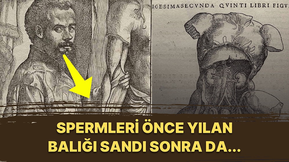 Cinsel Birliktelik Beyni Buruşturuyormuş! Geçmişte Doktorların Penis Hakkında İnandıkları 5 Garip Teori