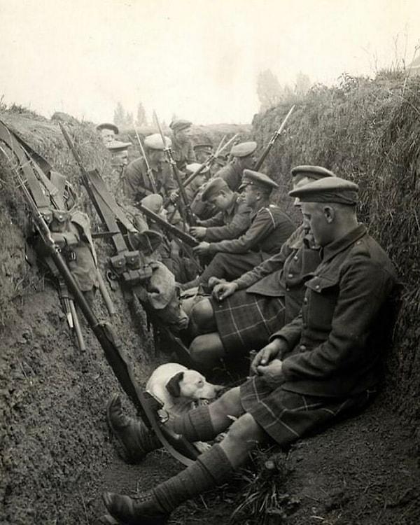25. Seaforth Highlanders'ın askerleri, 1915 Birinci Dünya Savaşı sırasında bir köpekle bir siperde dinleniyor.