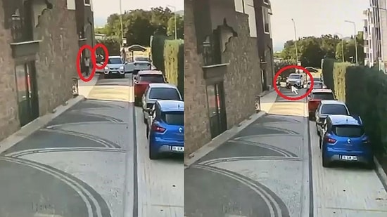 Cezası 2 Bin 40 TL! Köpeği Ezerek Öldürdü