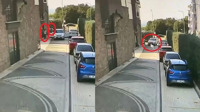 Cezası 2 Bin 40 TL! Köpeği Ezerek Öldürdü