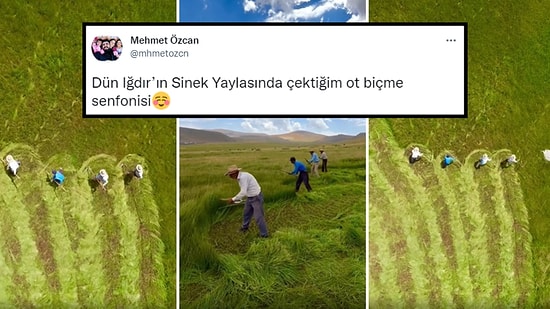 Yaylada Ot Biçen İnsanların Senfonisini Kaydeden Fotoğrafçının İzlerken Hipnotize Olacağınız Görüntüleri