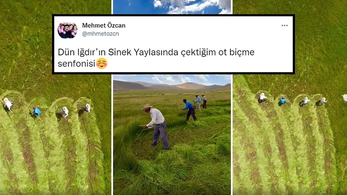 Yaylada Ot Biçen İnsanların Senfonisini Kaydeden Fotoğrafçının İzlerken Hipnotize Olacağınız Görüntüleri