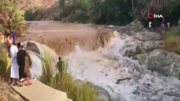 Son anda kurtuldular