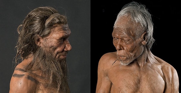 İlginçtir ki, bu dönemde dünyanın farklı yerlerinde başka hominidler vardı.