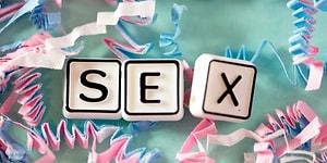 21 неожиданный факт о сексе: готовьтесь удивляться