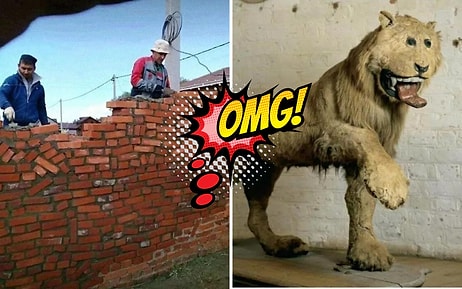 "У тебя была всего одна работа", или 23 творения профессиональных рукопопов