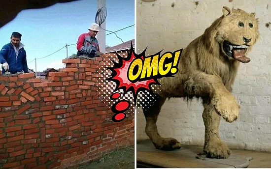 "У тебя была всего одна работа", или 23 творения профессиональных рукопопов