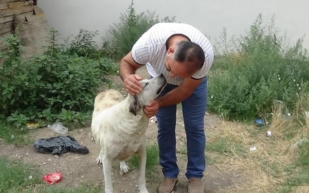 Güvenlik kameralarını izleyen iş yeri sahibi duygusal anlar yaşadı