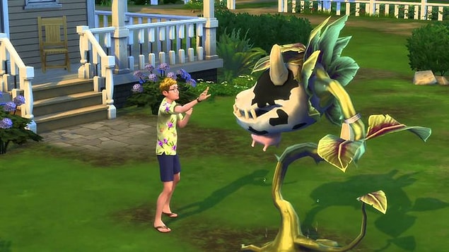 12. Vous pouvez faire pousser des plants de vache.