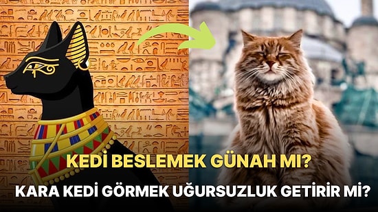 Dünden Bugüne Kedi: Antik Mısır'da Tanrılaştırılan Kedilerin İslamiyet'teki Yeri Nedir?