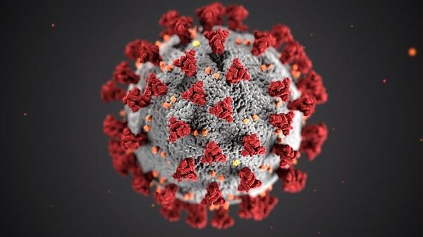 Virüsün henüz insandan insana yayılabildiğine dair bir bulgu yok. Çin'de henüz 35 kişiye langya virüsü tanısı kondu.