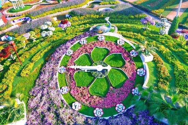17. Gökdelenlerin yanı sıra bahçeleri de oldukça ünlü Dubai’nin. Özellikle 45 milyon çiçeğin buluştuğu ‘Mucize Bahçesi’ olarak bilinen bahçe turistlerin en sevdiği yerler arasında.
