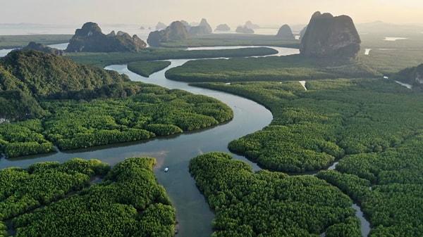 3- Dünya üzerindeki en uzun ikinci nehir olan Amazon toplamda 6 bin 930 kilometre uzunluğunda olmasına rağmen üzerinde hiçbir köprü yoktur!