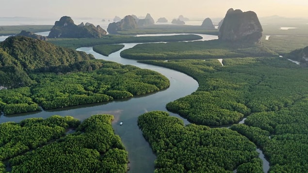 3- L'Amazone, le deuxième plus long fleuve du monde, a une longueur totale de 6 000 930 kilomètres, mais il n'y a pas de pont !