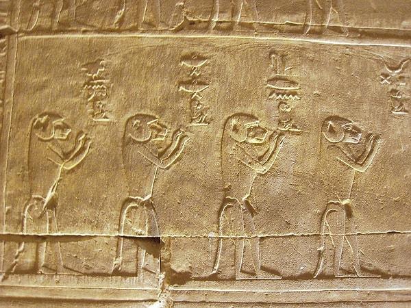 1. Eski Mısır'da babunlar kutsal kabul edildi ve firavunlar onları hizmetçi ve banyo görevlisi olarak eğitti.