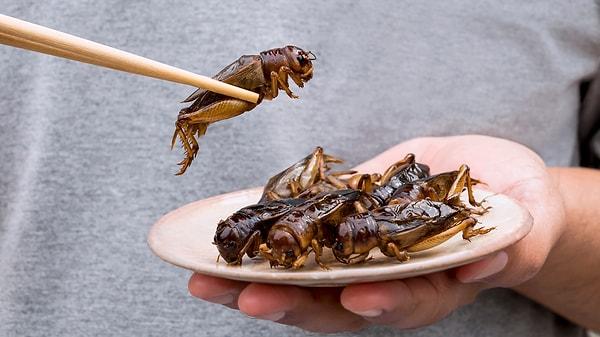 Böcek yemek aslında çok farklı bir yemek alışkanlığı değil. Dünyada yaklaşık olarak 2 milyar insan böcek yiyor! Özellikle Asya ülkelerinde böcek, mutfak kültürlerinde önemli bir yere sahip.
