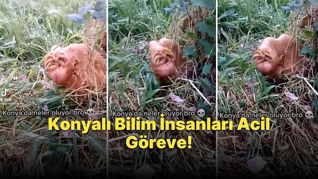 Konyalı Bilim İnsanları Acil Koduyla Göreve Çağrıldı: Konya'da Görüntülenen Bi' Acayip Hayvan