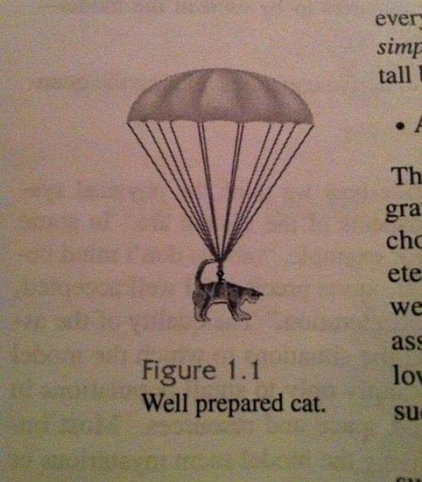 28. Paraşüt kullanmak isteyen kediler varsa imkansız olmadığını bilsinler 😂