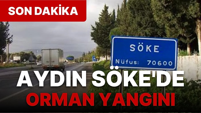 Aydın Söke'de Orman Yangını: Ekiplerin Yangına Müdahalesi Sürüyor!