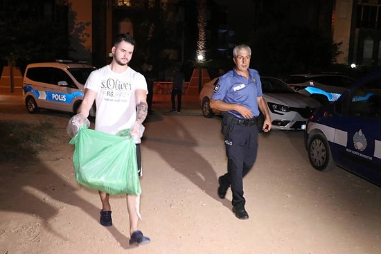 Antalya'daki Köpek Ölümlerine Yenileri Eklendi:9 Köpek Daha Ölü Bulundu, 25 Köpek İse Kayıp