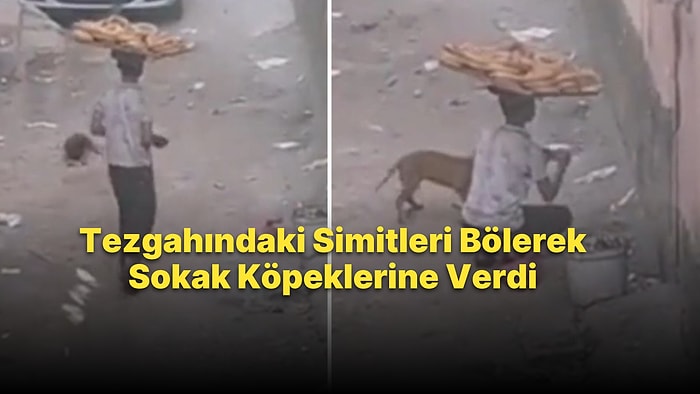 Simit Satan Çocuğun Tezgahındaki Simitleri Bölerek Sokak Arasındaki Köpeklere Verdiği Duygusal Anlar