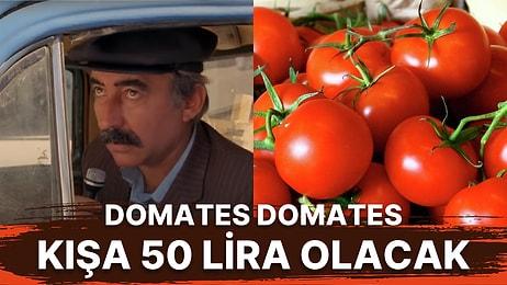 "Domates 50 Lira Olacak" Denince Akıllara Gelen Züğürt Ağa Filminden Sahne Gerçek Olabilir!