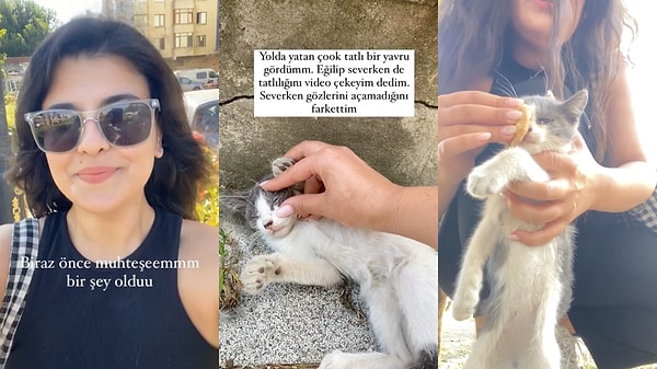 Özel ders için öğrencisinin evine doğru giden kadın, yolda gördüğü yavru kediyi sevmek için durdu. Kediyi severken gözlerinin kapalı olduğunu fark eden kadın, kedinin gözlerini açabilmesi için verdiği uğraşı kazandı ve kedicik eski sağlıklı haline geri döndü!