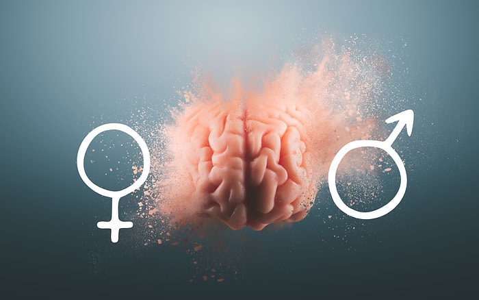 Расскажите нам о снах, а мы ответим, какого пола ваш мозг