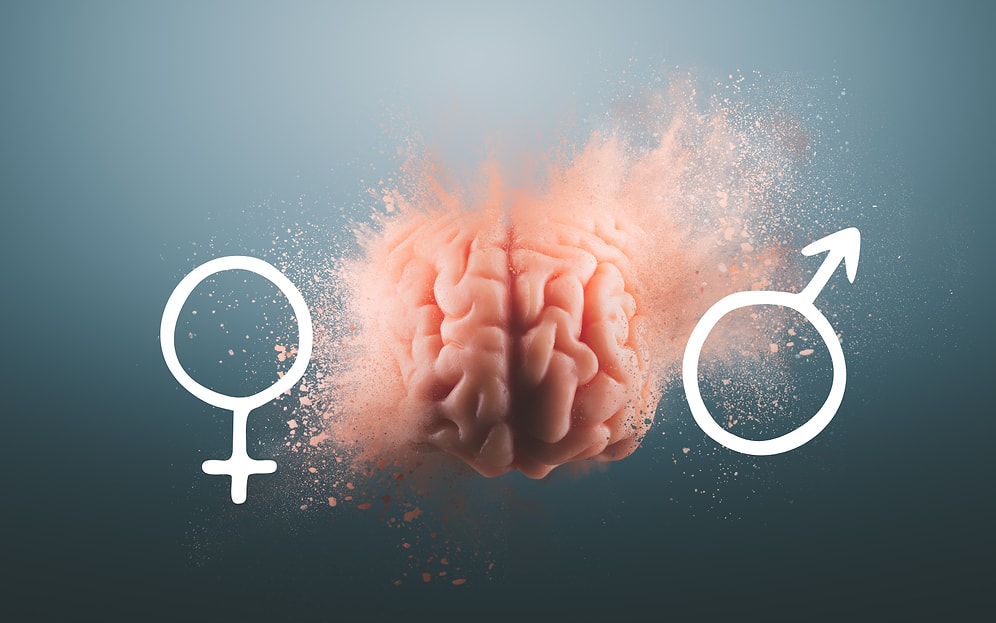 Расскажите нам о снах, а мы ответим, какого пола ваш мозг