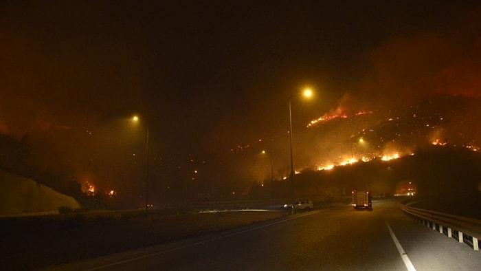 Mersin'de Orman Yangını: Alevler Nükleer Santrale İlerliyor