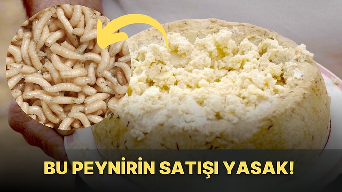 Milyon Dolarınız da Olsa Asla Satın Alamazsınız: Satışı Kesinlikle Yasak Olan "Casu Marzu" Peyniri