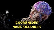 İçgörülerle Yaşama Sanatı