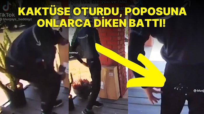 Hayattaki Şansım: Paket Bıraktığı Evin Önündeki Kaktüse Oturup Poposuna Onlarca Diken Batan Bahtsız Kurye