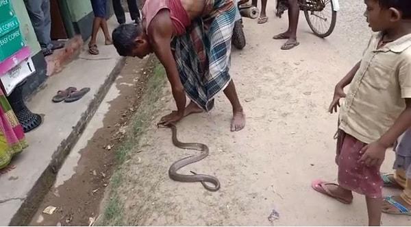 Ayrıca kendisi yılanı yalnızca zehirlemekle de kalmadı. Öfkeli adam aynı zamanda kendisini ısıran yılanı ölene dek ısırdı.