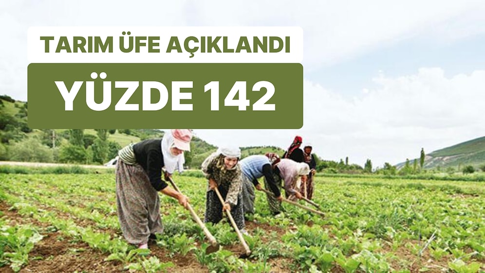 Tarımda Aylık Sert Düşüş! Üretici Enflasyonu Yüksek Kalmaya Devam Ediyor