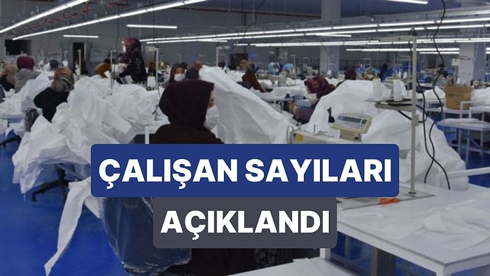 Aylık Bazda Azalırken, Yıllık Olarak Arttı: TÜİK Ücretli Çalışan Sayısını Açıkladı