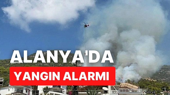 Alanya'da Orman Yangını Çıktı: 4 Dönüm Ormanlık Alan Zarar Gördü!