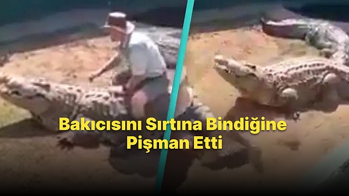 Üzerine At Biner Gibi Binen Bakıcısını Pişman Eden Timsahın Hareketi Yürekleri Ağza Getirdi