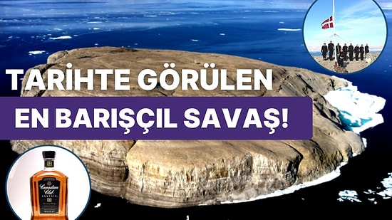 Viski Savaşları: Kanada ve Danimarka Arasında 50 Yıldır Paylaşılamayan Adanın Enteresan Hikayesi