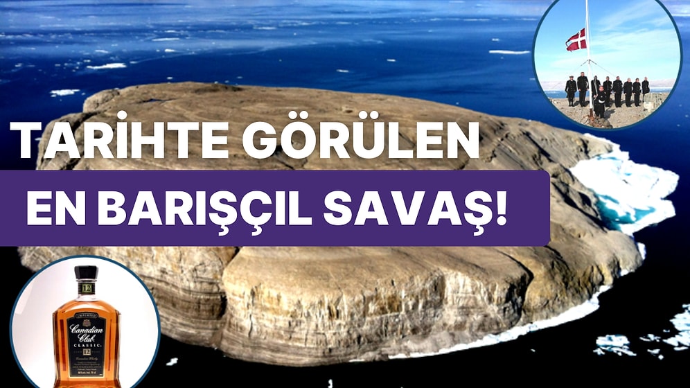 Viski Savaşları: Kanada ve Danimarka Arasında 50 Yıldır Paylaşılamayan Adanın Enteresan Hikayesi