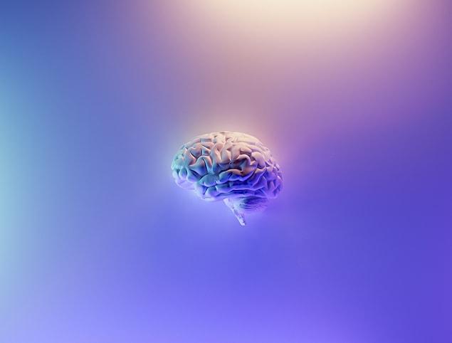 2016 yılında Dr. Spiegel ve araştırma ekibi tarafından yürütülen bir çalışmada beynin hipnoz etkisindeyken nasıl değişimlere uğradığı incelendi.