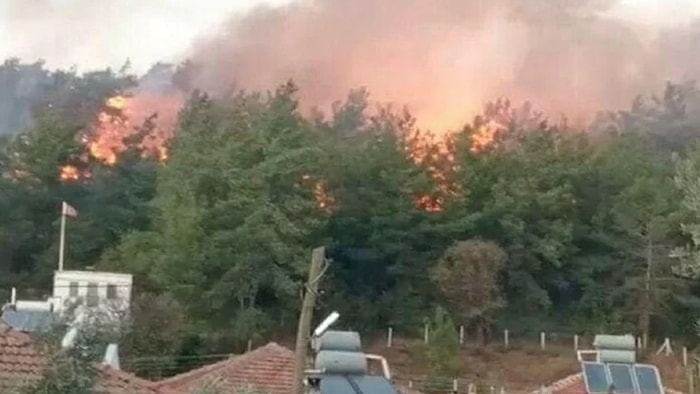 Muğla Orman Yangınına Bir Gözaltı: İzmaritten Çıkmış, Kendini de Yakmış!