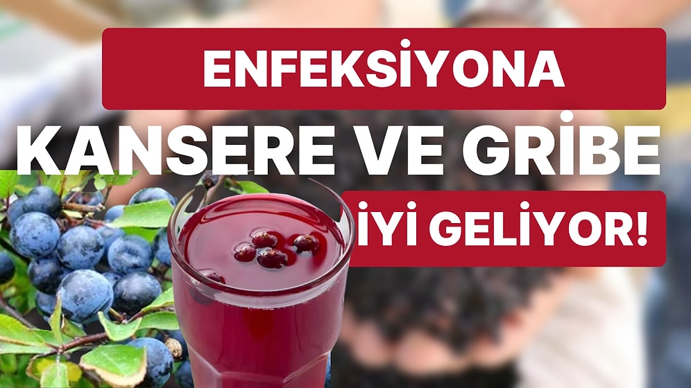 Yıllardır Anadolu'da Kullanılan ve Evlerde Bulunan Bir Bitkinin Kansere Şifa Olabileceği İddia Edildi!