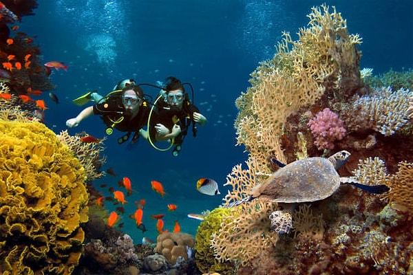 3. 1190 farklı mercan adasında dalış yapma fırsatı