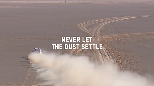 15. Let the dust settle – Ortalığın sakinleşmesini beklemek