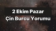 2 Ekim Pazar Çin Burcuna Göre Günün Nasıl Geçecek?