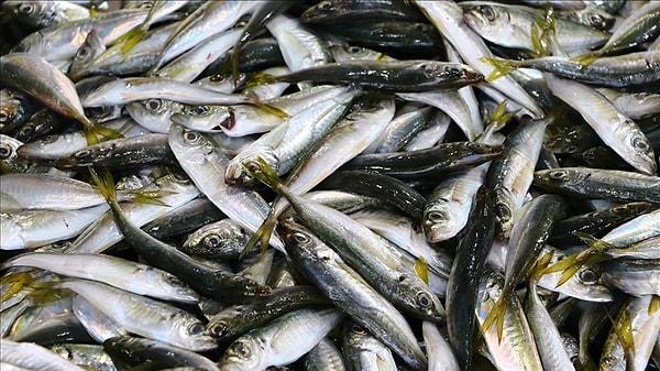 İstavrit: Kötü kolestrolu düzenleyen bir balık olan istavrit, ocak ayının küçük balıklarından biridir.