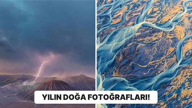 Işıldayan Mantarlardan İhtişamlı Gökyüzüne Doğa Koruma Fotoğraf Yarışmasını Kazanan Görseller