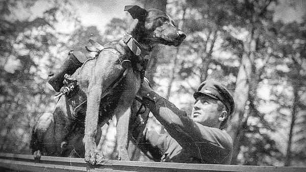 1. Sovyet Kamikaze köpeği