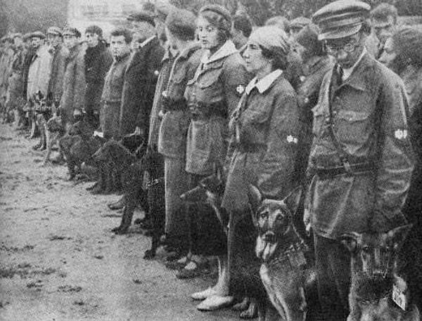 Savaş sırasında düşman hattına gitmek istemeyen köpekler, patlayıcıları ile birlikte Sovyet hattına geri dönüyordu.